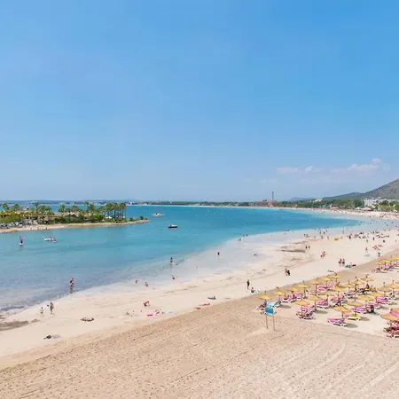 Son Fe Alcúdia